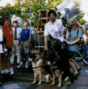 german shepherd kennelmovie1Xa.jpg