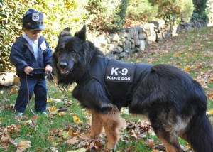 east german shepherd longcoat