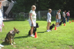8-9-08039puppytrainingclasssm.jpg