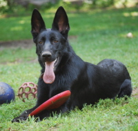 HalleAugust2009052xsm.jpg