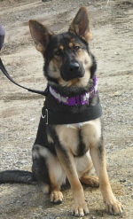 HildaJan.2008005xsm.jpg
