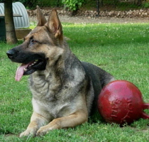 JadaJune2007037xsm.jpg