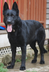 KaschJuly262009139xsm.jpg