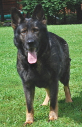MesaAugust2008038xsm.jpg