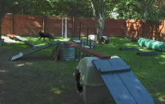 MyYardSeptember2007003sm.jpg