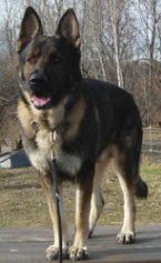 Rocky2008005xsm.jpg
