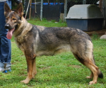 ThelmaAugust2009022xsm.jpg