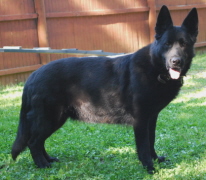 ZellaJune2008040xsm.jpg
