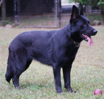 ZimaSeptember232009024xsm.jpg