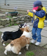mimimick11.22.04006xsm.jpg