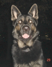photo_4Keeper2yrsxsm.jpg