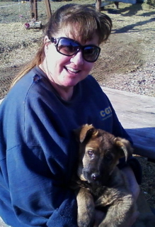 eastgermansheperd puppy